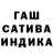 ГАШ гарик sveta kost