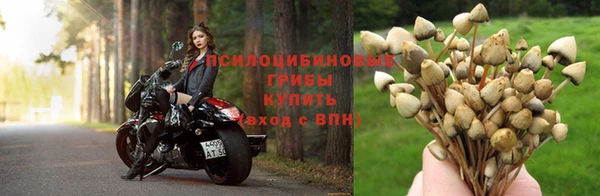 Альфа ПВП Арсеньев