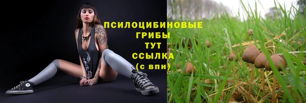 Альфа ПВП Арсеньев