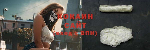 тгк Армянск