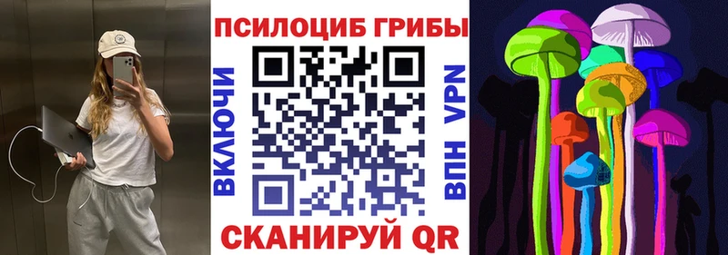 Галлюциногенные грибы Psilocybe  Волгоград 