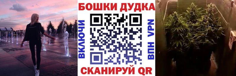 как найти закладки  Волгоград  дарк нет как зайти  Каннабис конопля 